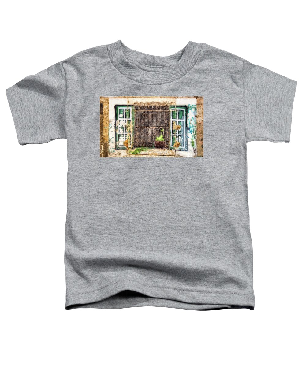 Painted Window Toddler T-Shirt featuring the photograph Replacement window by Micah Offman