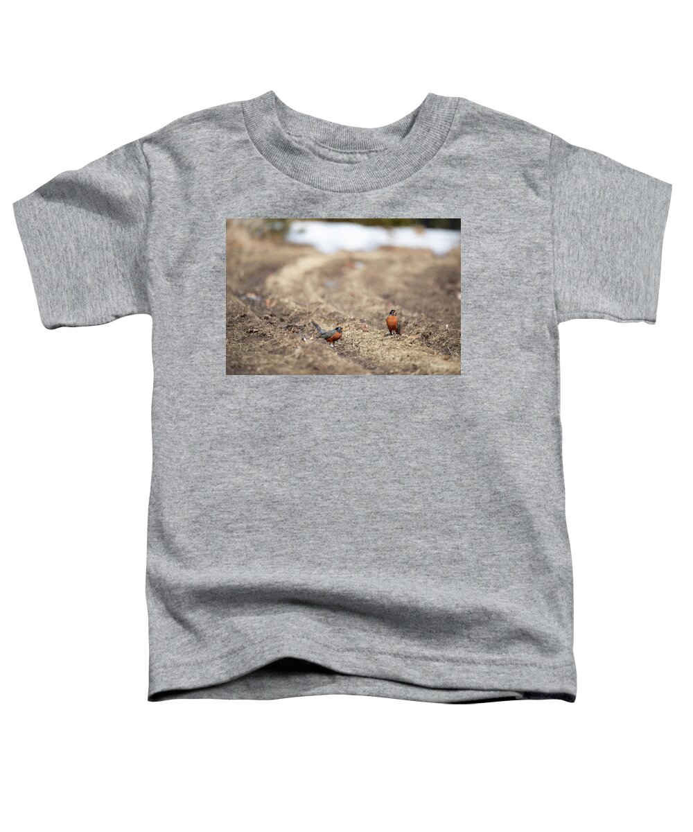 Robin Bird Birds Birdwatching Photobomb Nature Outside Outdoors Robins Brian Hale Brianhalephoto New England Winter Spring Snow Newengland Usa U.s.a. Toddler T-Shirt featuring the photograph Robin Photobomb by Brian Hale