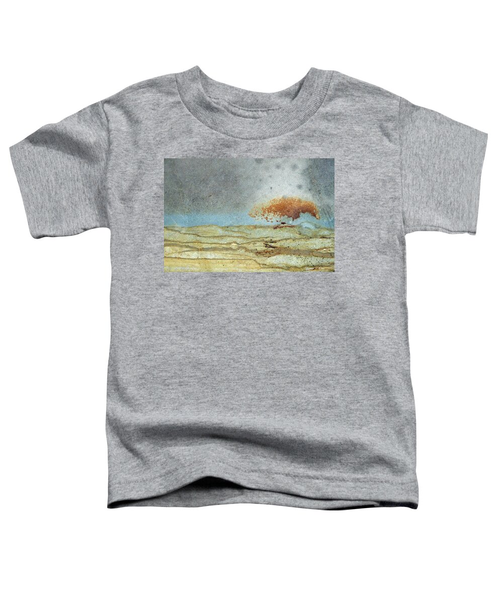 Duane Mccullough Toddler T-Shirt featuring the photograph Rock Stain Abstract 1 by Duane McCullough