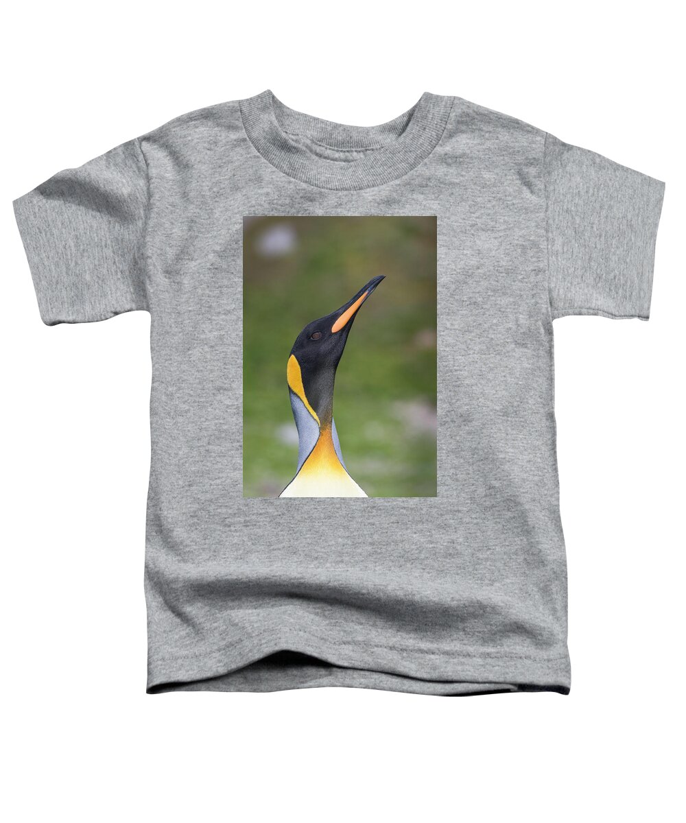 Penguin Toddler T-Shirt featuring the photograph Royalty by Alex Lapidus