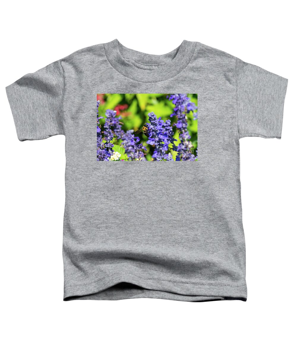 Bumblebee Toddler T-Shirt featuring the photograph Salvia With Bumblebee by Jennifer White