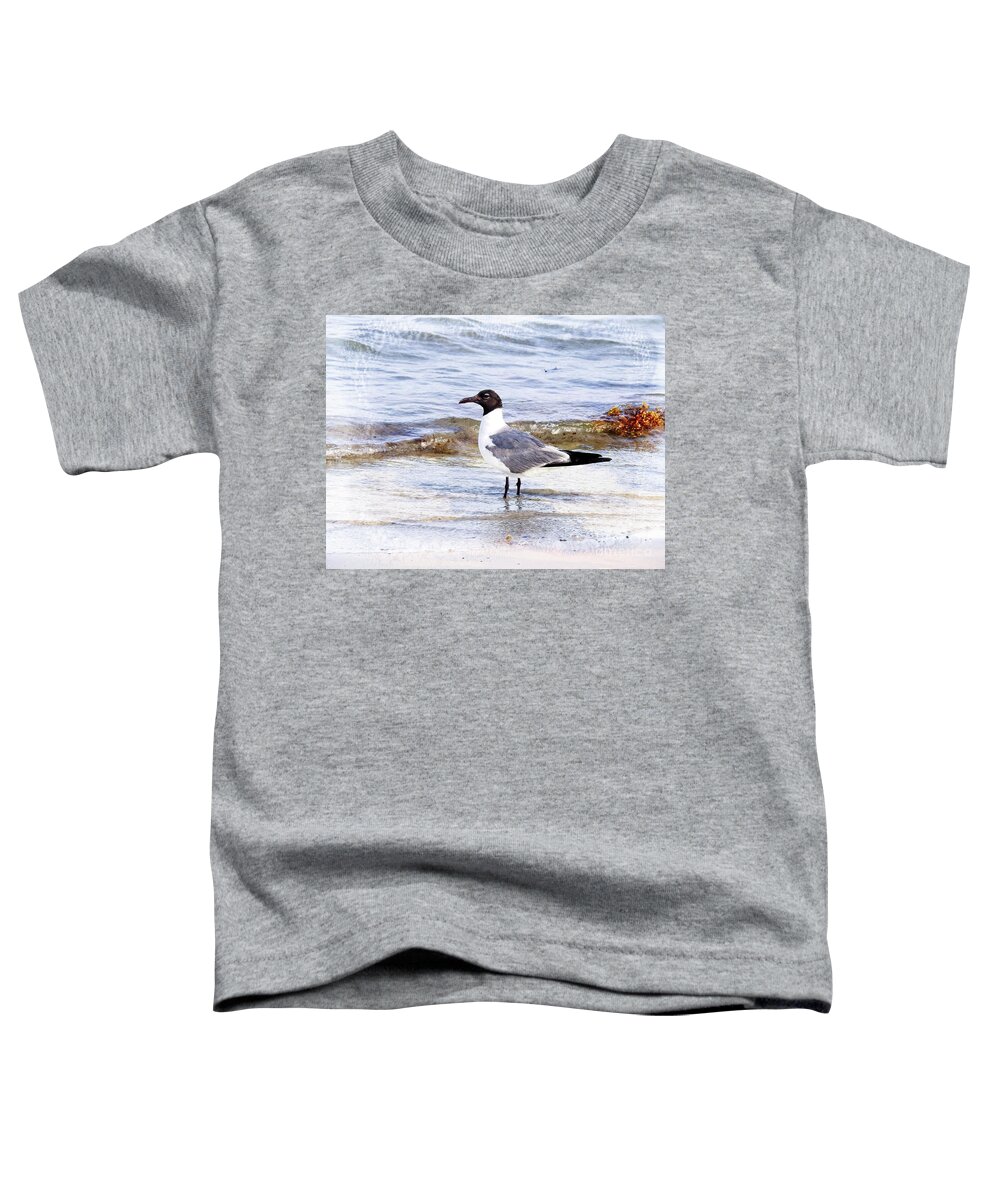 Seagull Toddler T-Shirt featuring the photograph Seagull Beach life by Ella Kaye Dickey