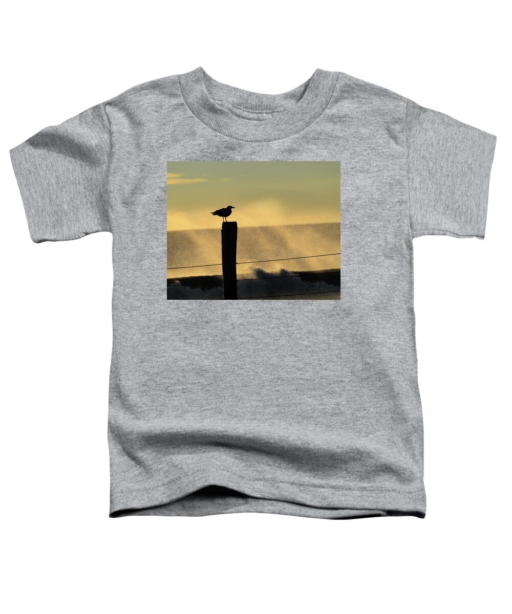 Silhouette Toddler T-Shirt featuring the photograph Seagull Silhouette on a Piling by William Dickman