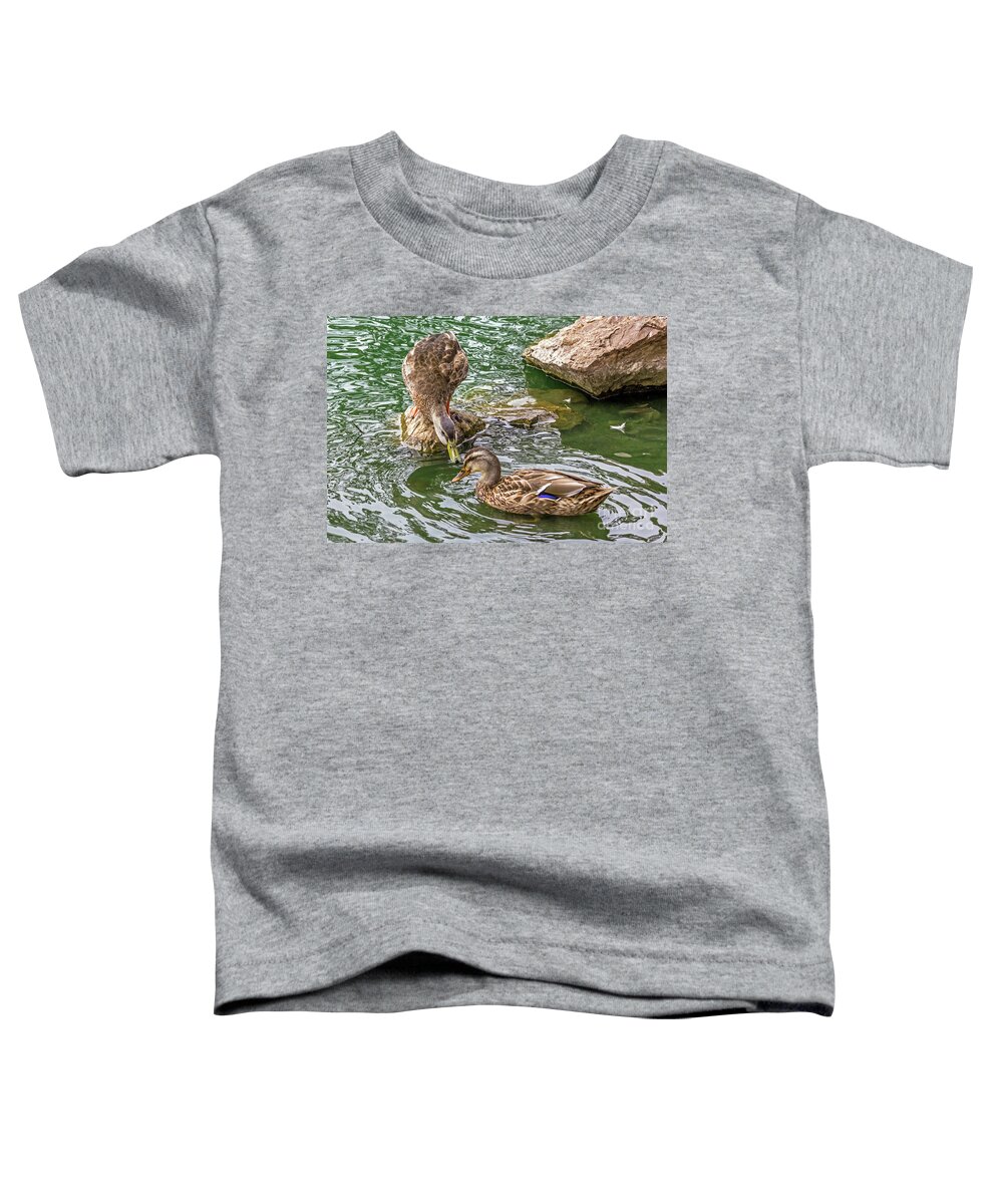 Mallard Toddler T-Shirt featuring the photograph See You Later by Kate Brown