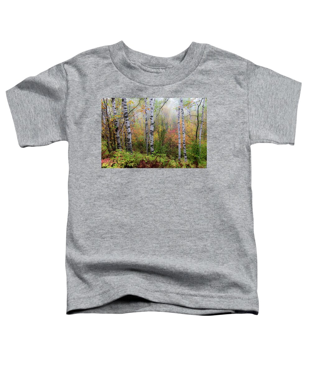 Autumn Toddler T-Shirt featuring the photograph September Morn by Mary Amerman