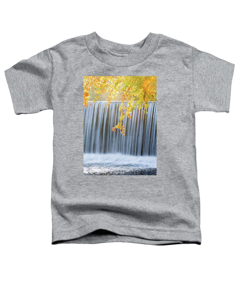 Landscape Toddler T-Shirt featuring the photograph Silver and Gold by Anita Nicholson