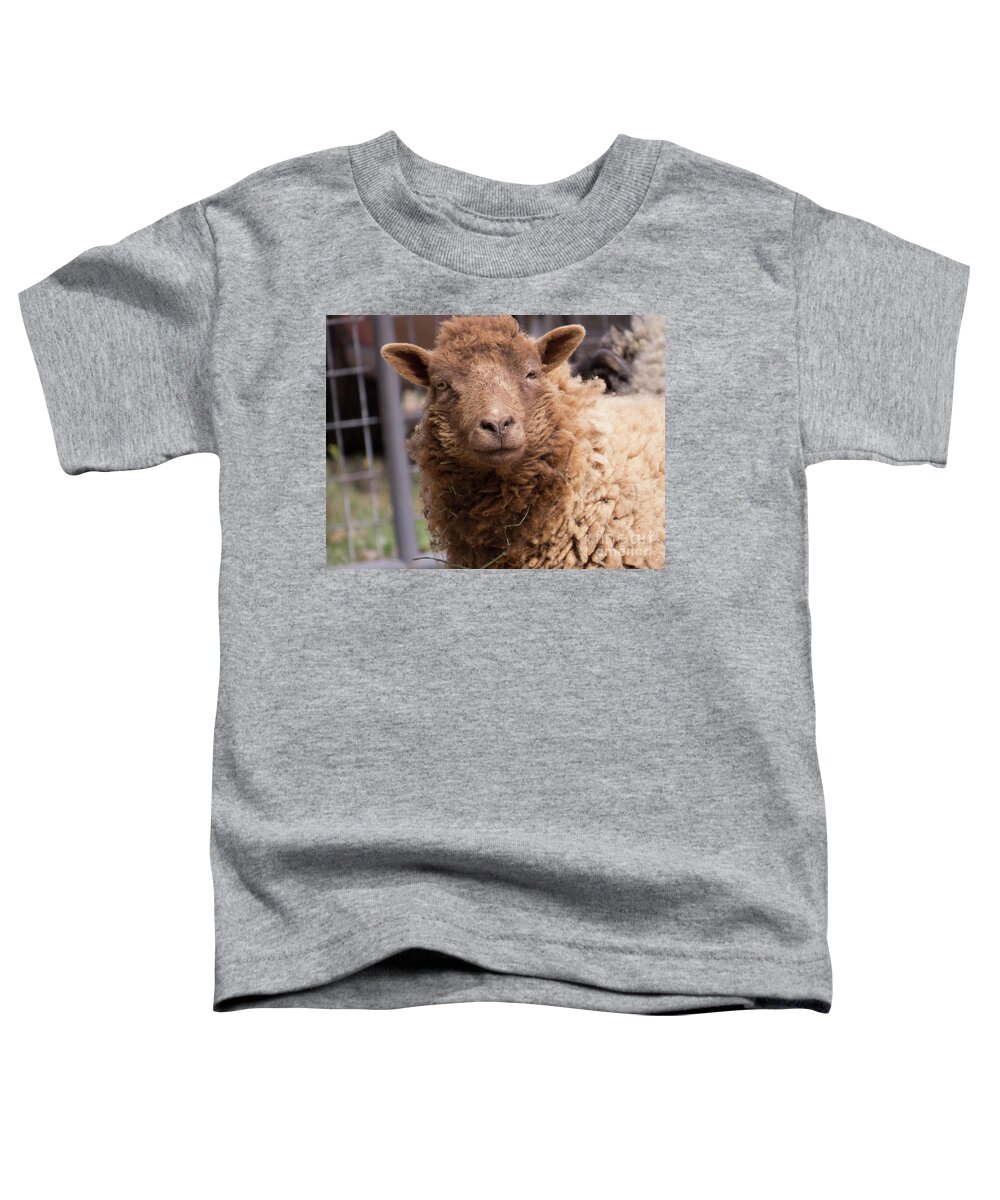 Sheep Toddler T-Shirt featuring the photograph Smirking Sheep by Christy Garavetto