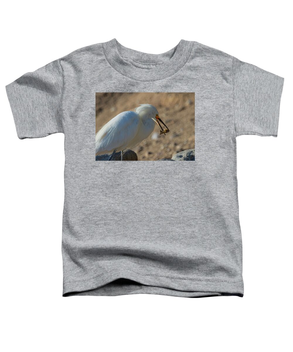 Snowy White Egret Toddler T-Shirt featuring the photograph Snowy White Egret 3 by Rick Mosher
