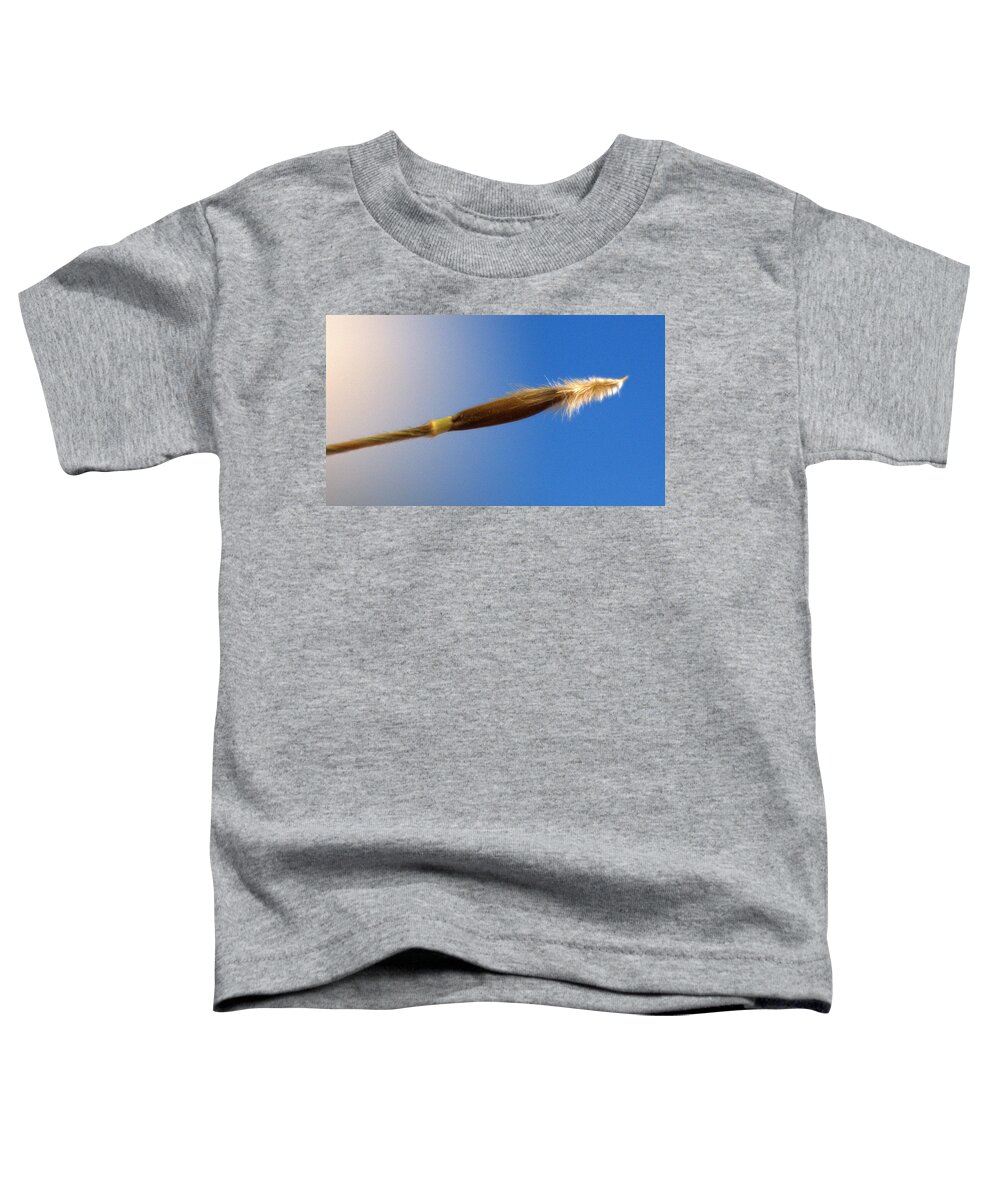 Spear Toddler T-Shirt featuring the photograph Spear of Life Continuity by Ivars Vilums