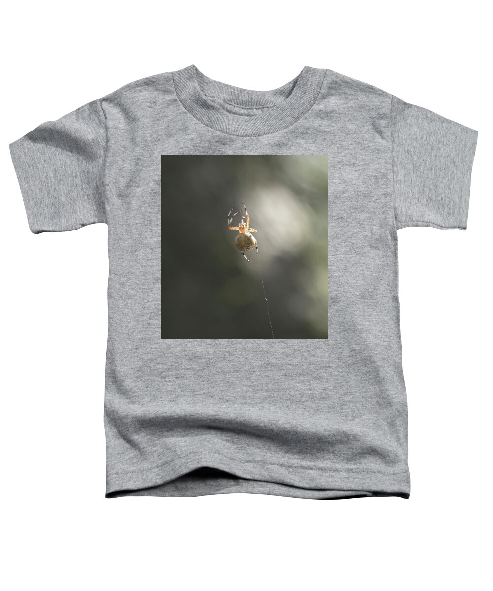 Animal Toddler T-Shirt featuring the photograph Spider by Paul Ross