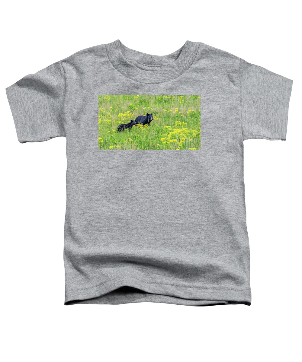 American Black Bears Toddler T-Shirt featuring the photograph Spring Meadow in Cades Cove by Marcy Wielfaert