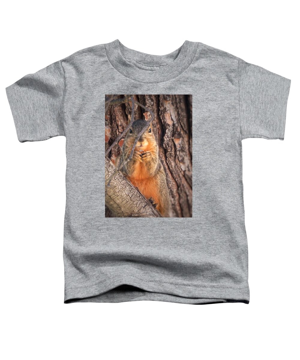 Squirrel Toddler T-Shirt featuring the photograph Squirrel eating in tree by David Zumsteg