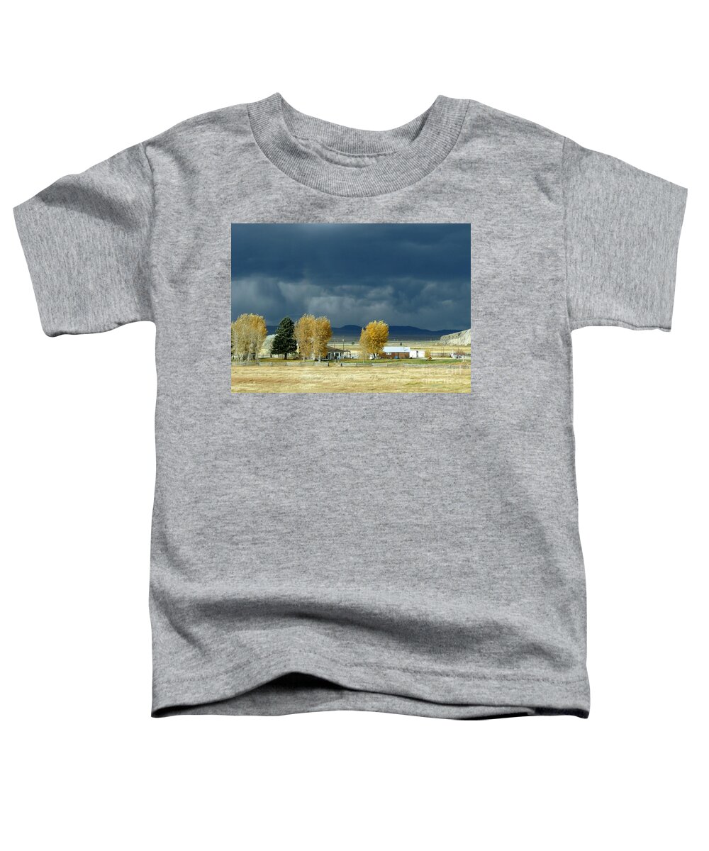 Dark Skies Toddler T-Shirt featuring the photograph Storm Brewing by Rosanne Licciardi