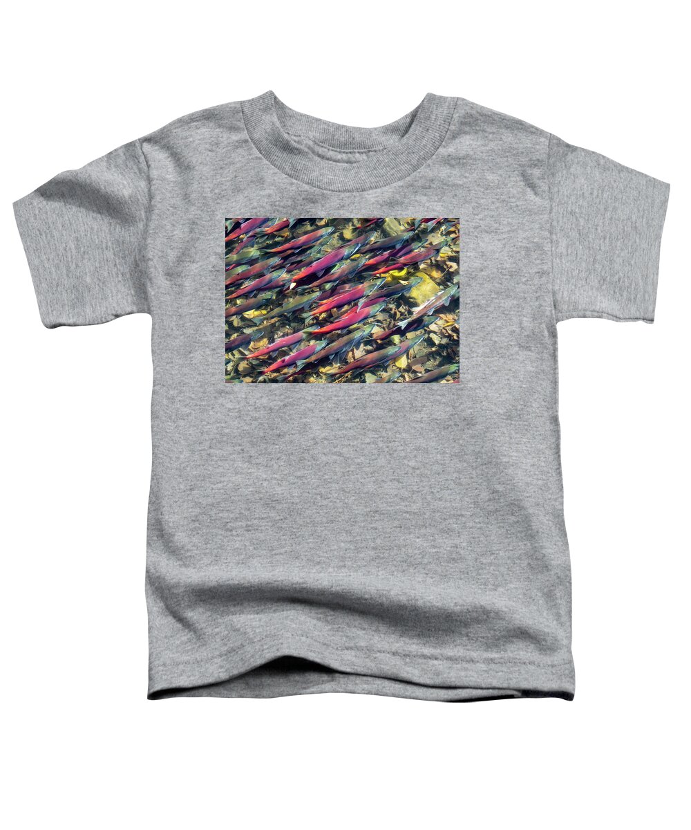 Fish Toddler T-Shirt featuring the photograph Tahoe Salmon by Martin Gollery