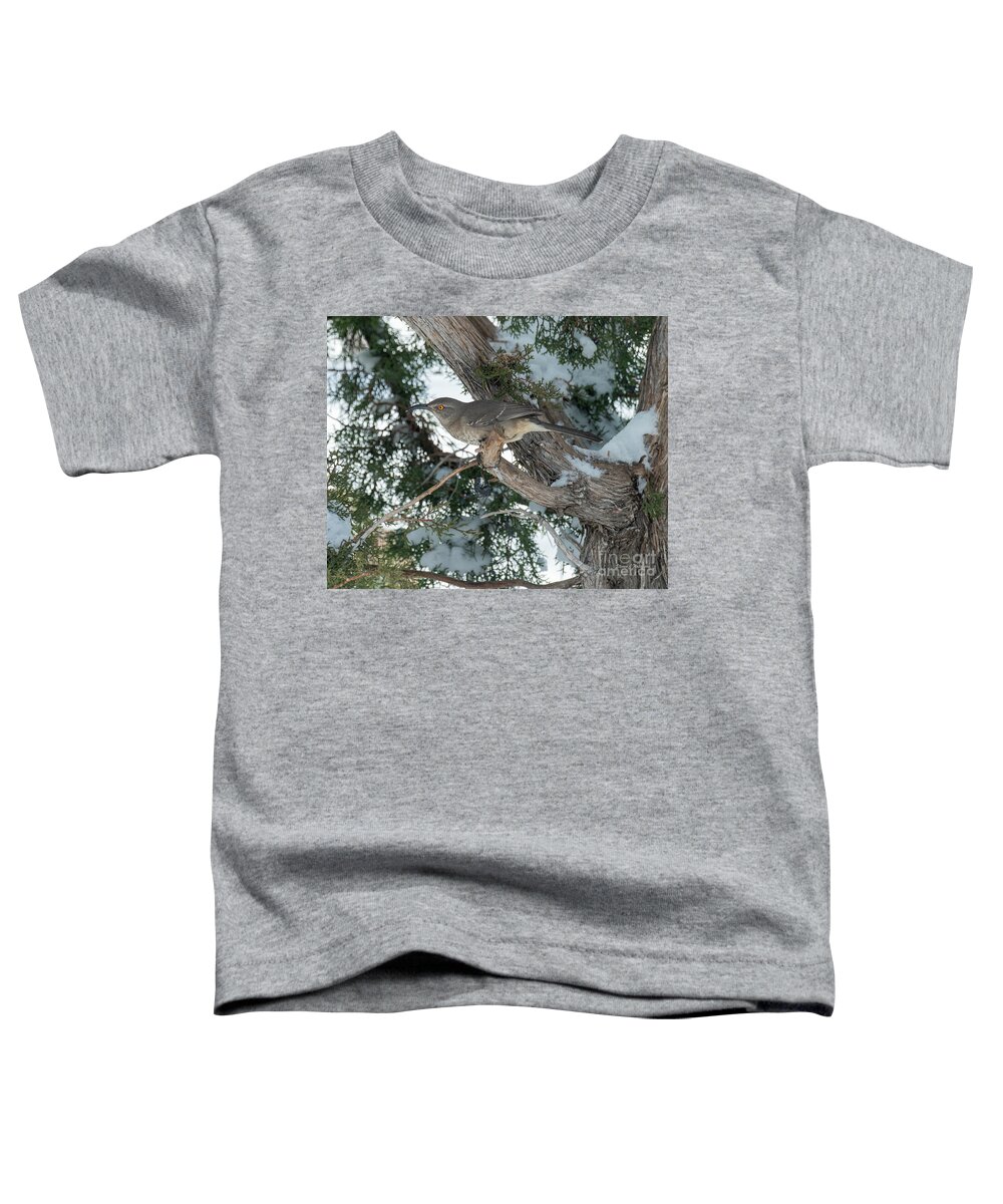 Natanson Toddler T-Shirt featuring the photograph Taking Cover by Steven Natanson