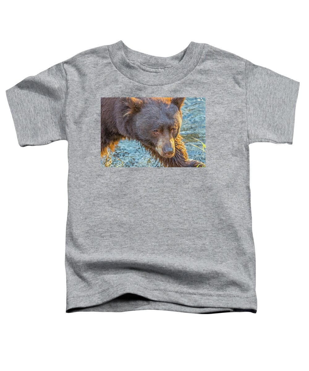 California Toddler T-Shirt featuring the photograph Taylor Creek Bear at Sunset by Marc Crumpler