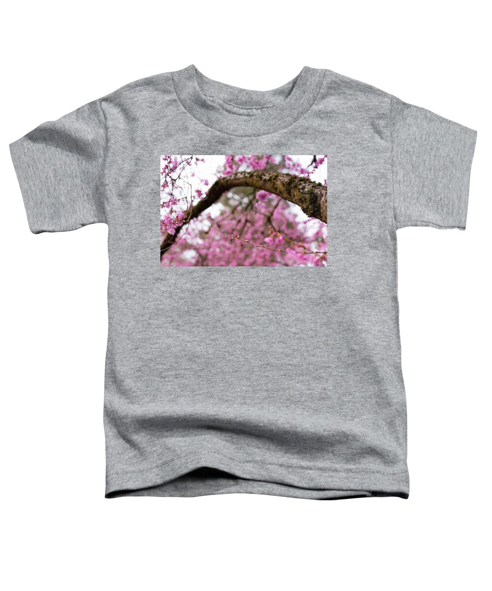 Cherry Blossoms Toddler T-Shirt featuring the photograph The arc of spring by Kunal Mehra