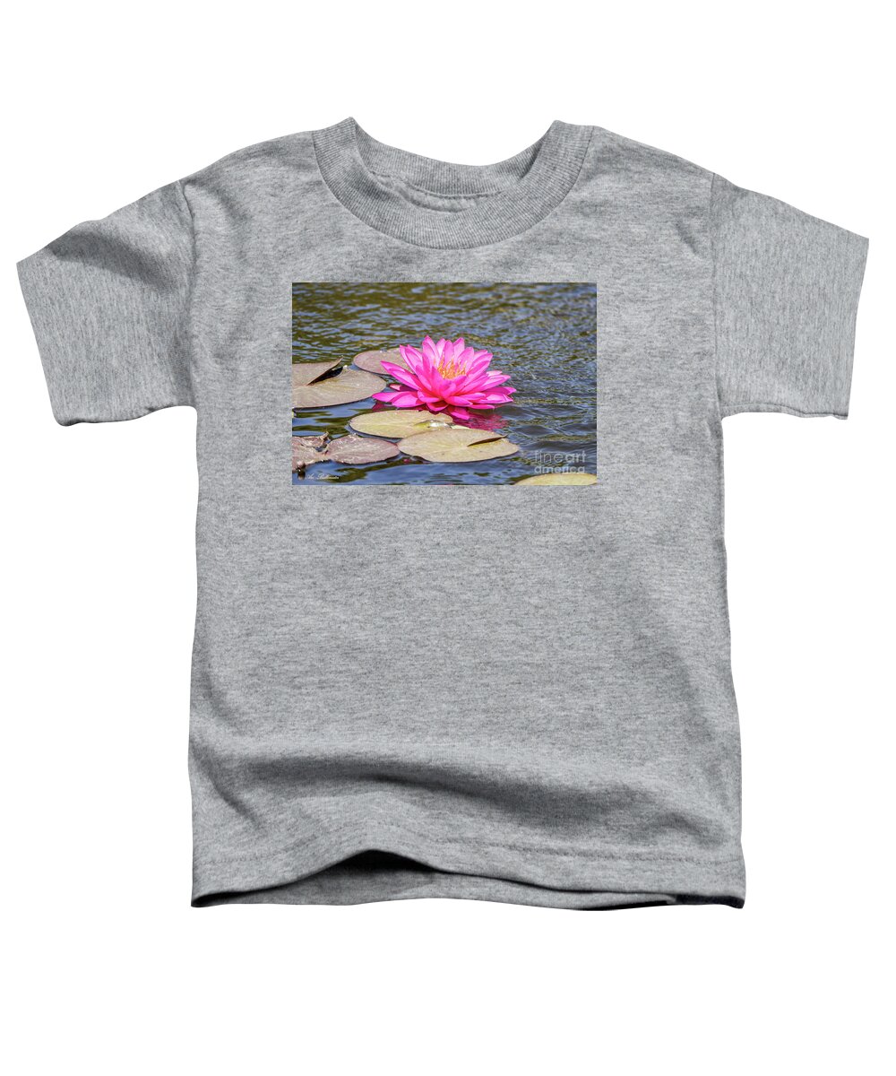 Water Lily Toddler T-Shirt featuring the photograph The Lady Is Pink 03 by Arik Baltinester