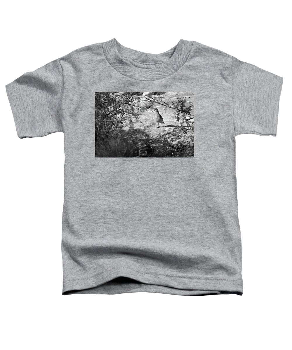 Richard E. Porter Toddler T-Shirt featuring the photograph The Loner #0561 - Quail, Terrell County, Texas by Richard Porter
