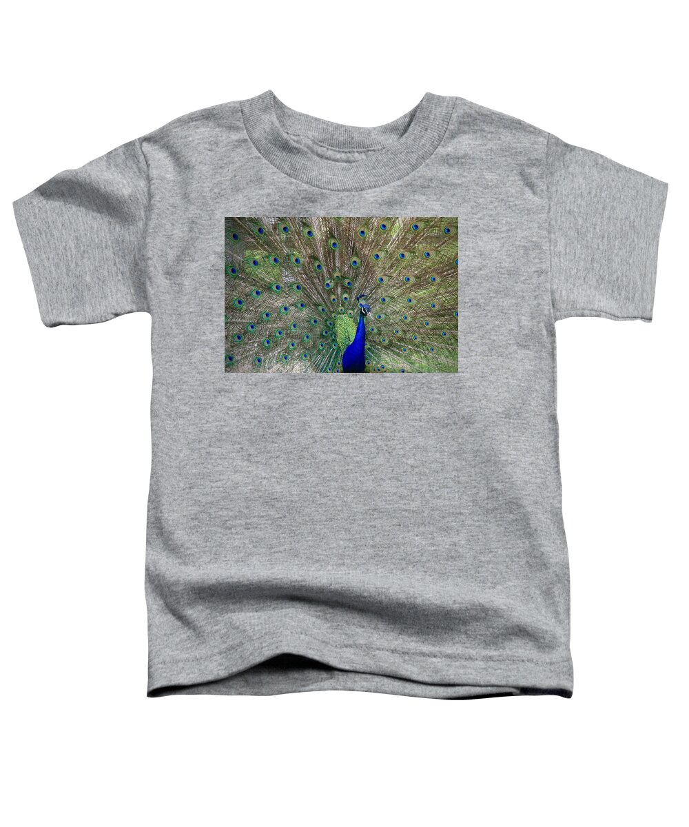 Peacock Bird Toddler T-Shirt featuring the photograph The Male Peacock by Ed Riche