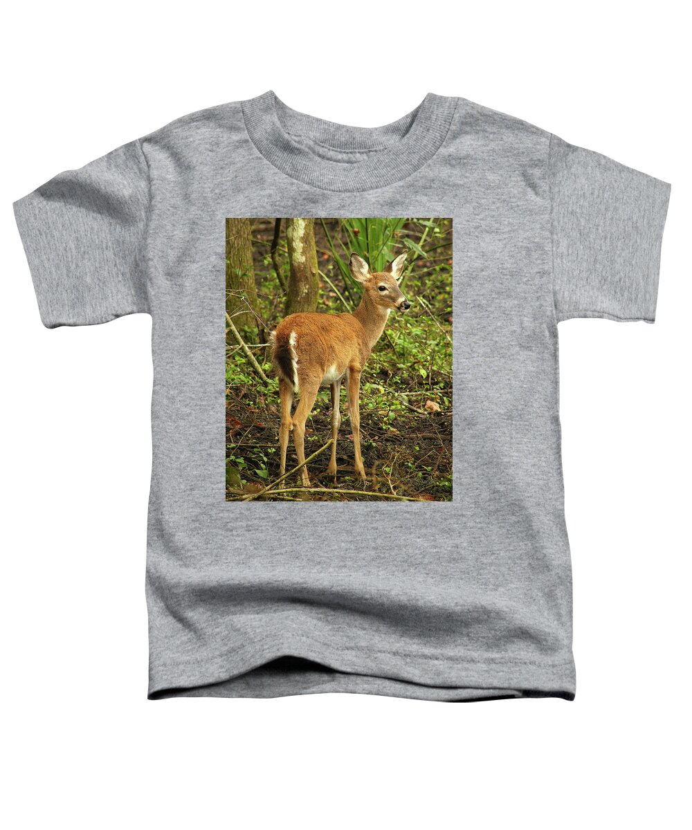 Deer Toddler T-Shirt featuring the photograph The Yearling by Michael Allard