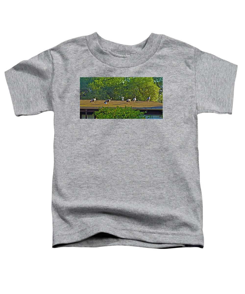 Turkey Toddler T-Shirt featuring the photograph Turkeys On The Roof by Joyce Dickens