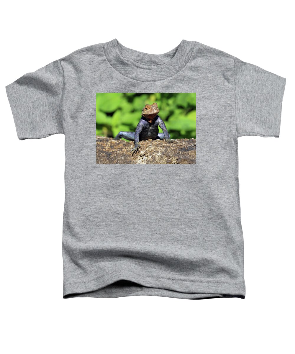 Florida Toddler T-Shirt featuring the photograph Tuxedo Lizard by Jennifer Robin
