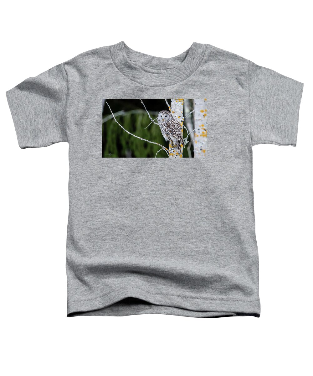 Ural Owl Toddler T-Shirt featuring the photograph Ural owl perching on an aspen twig by Torbjorn Swenelius