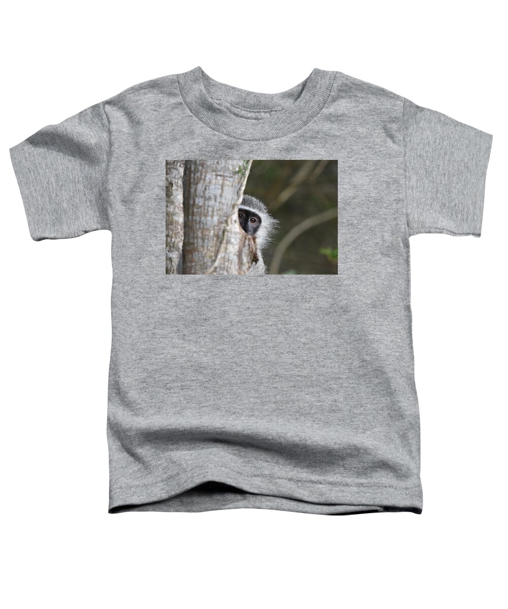Vervet Toddler T-Shirt featuring the photograph Vervet Monkey, South Africa by Ben Foster