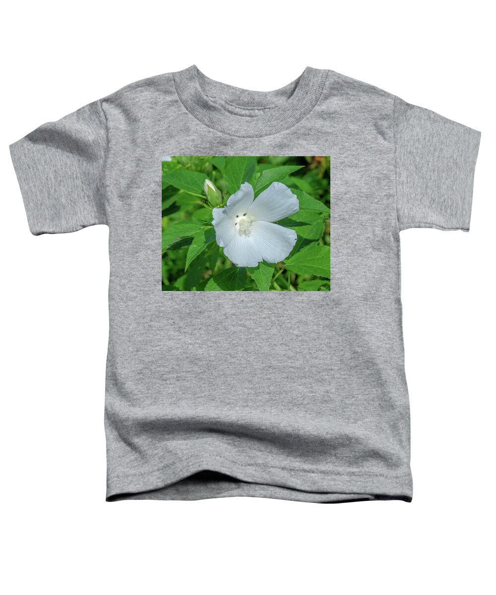 Nature Toddler T-Shirt featuring the photograph Very Rare almost All-white Crimson-eyed Rosemallow DFL0995 by Gerry Gantt