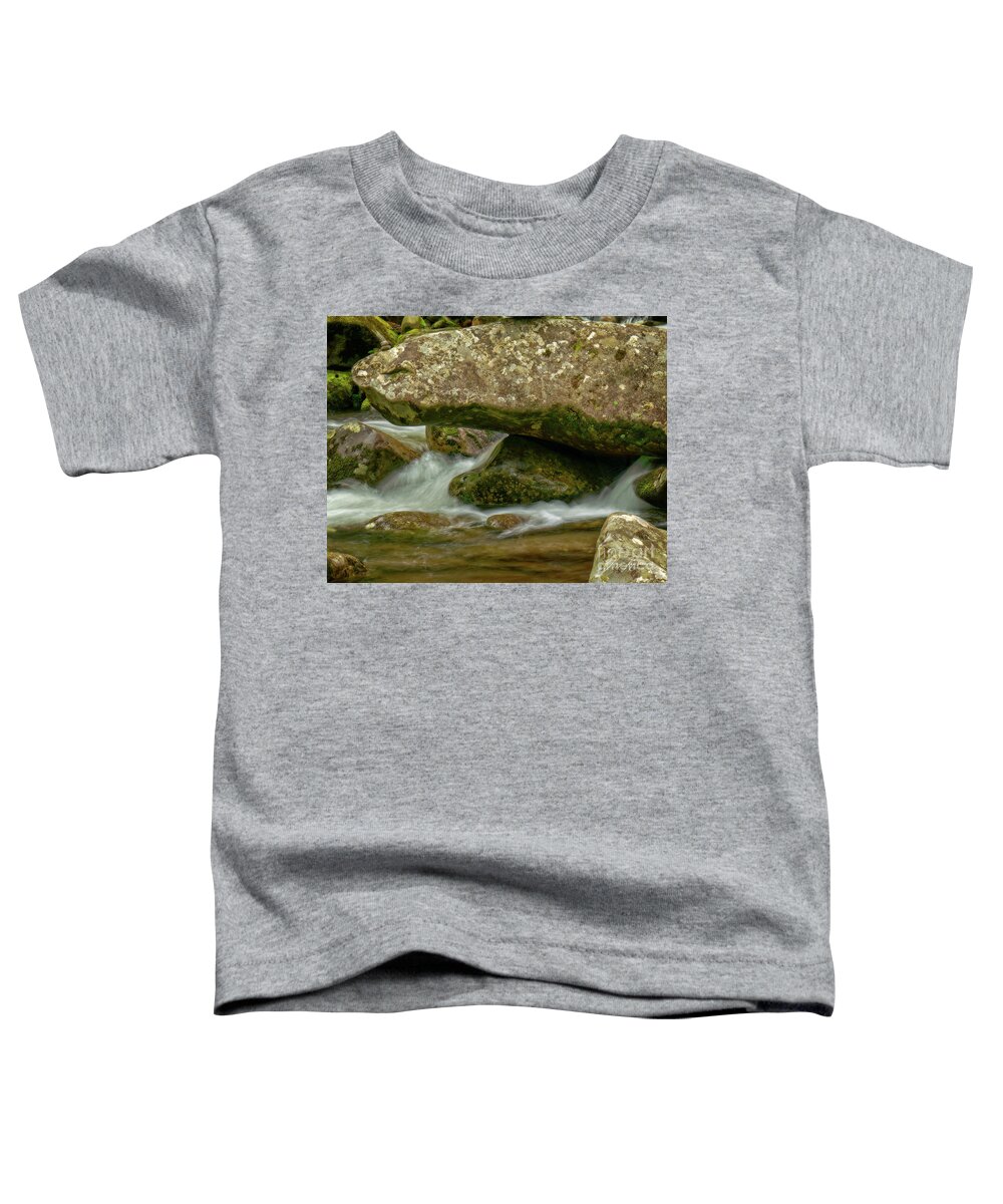 Big Creek Area Toddler T-Shirt featuring the photograph Water and rocks by Izet Kapetanovic