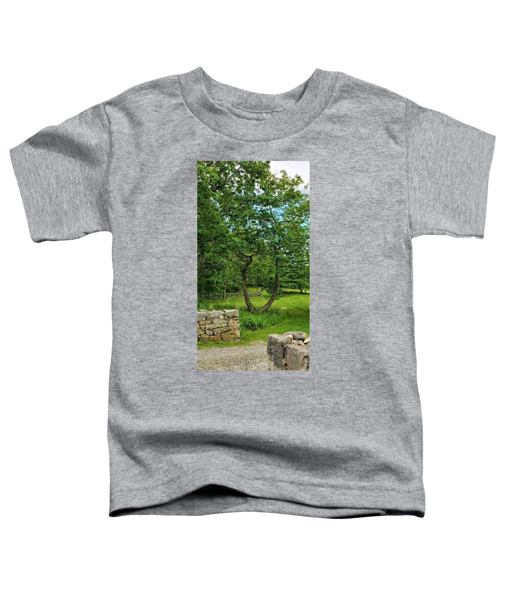 Weir Farms Toddler T-Shirt featuring the photograph Weir Farm Stone Walls by Rob Hans
