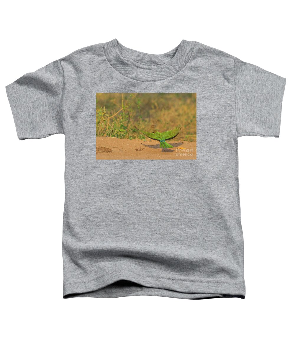 Bird Toddler T-Shirt featuring the photograph White Fronted Bee Eater Bird Flying by Benny Marty