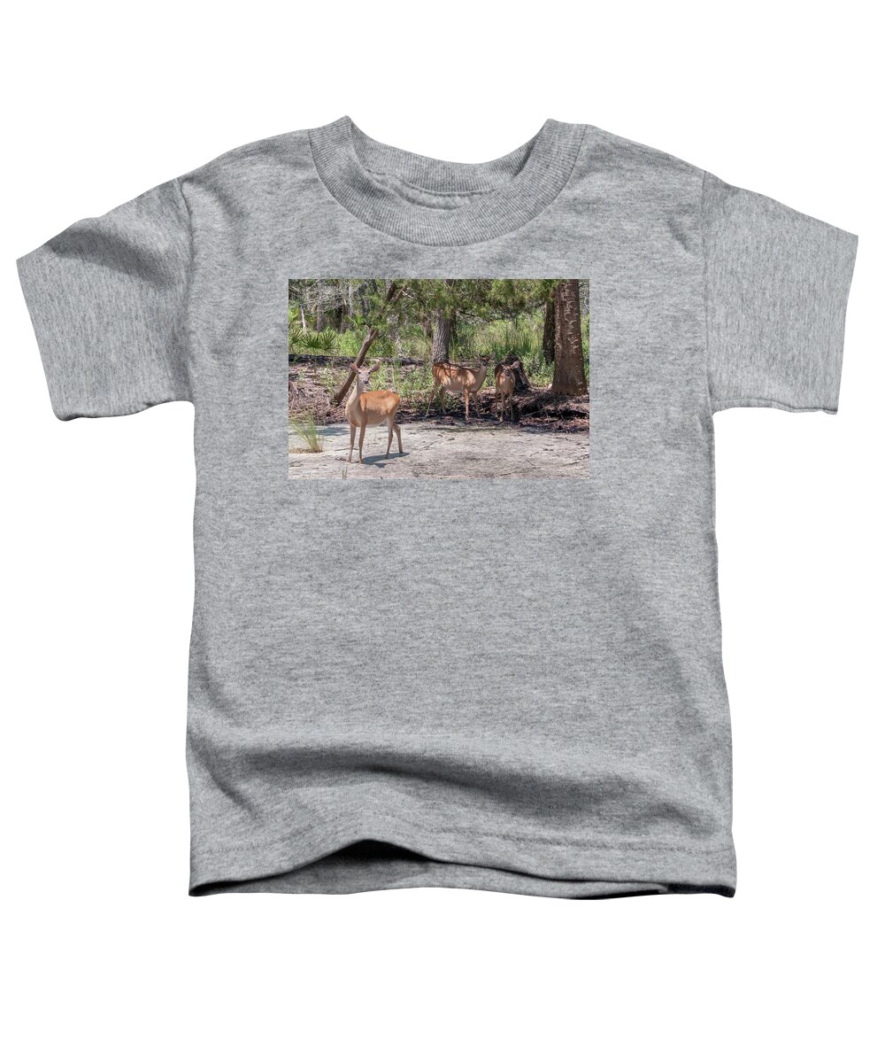 White Toddler T-Shirt featuring the photograph White Tail Deer In Wild Near Pond by Alex Grichenko