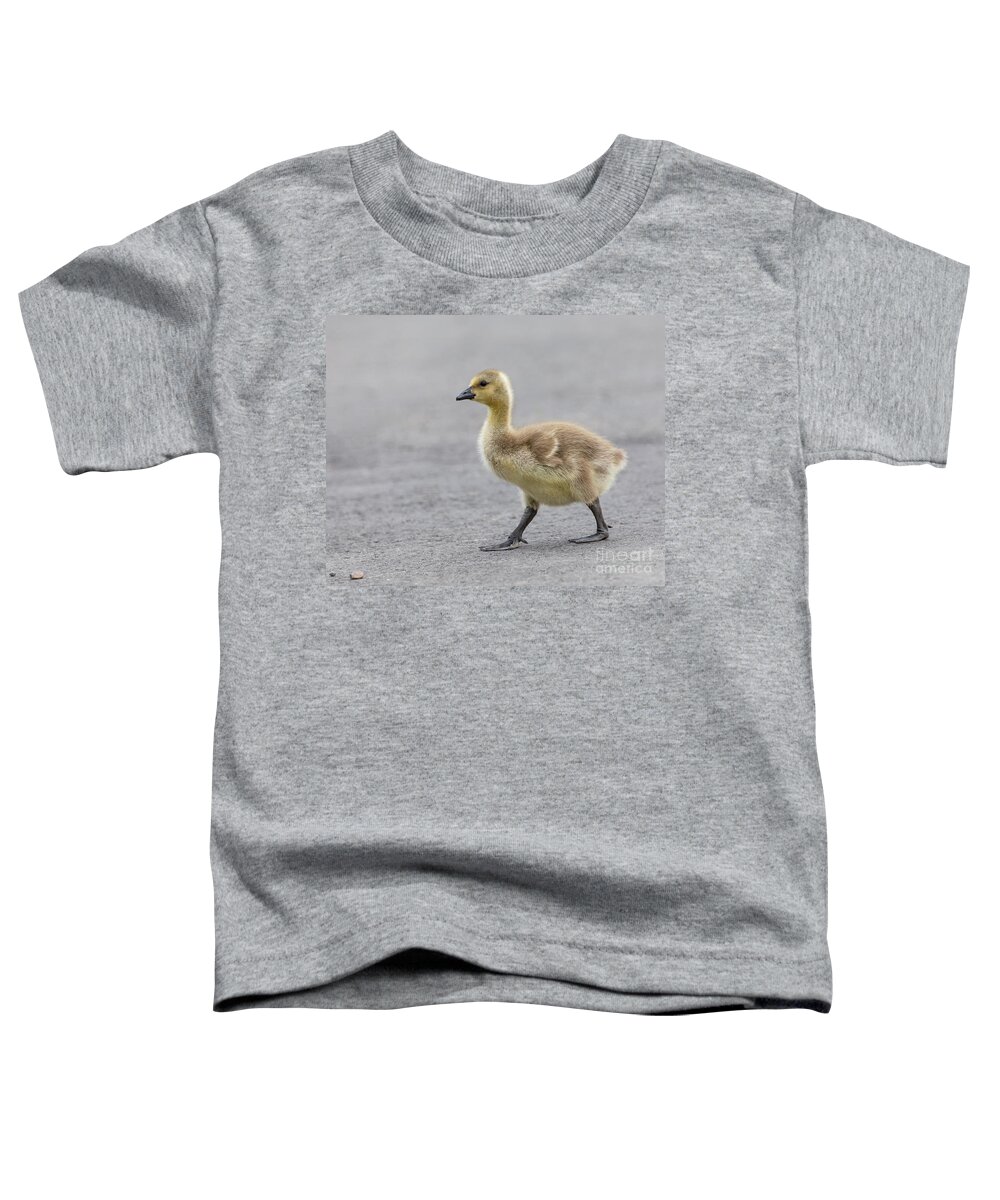 Photography Toddler T-Shirt featuring the photograph Why did the Gosling Cross the Road? by Alma Danison