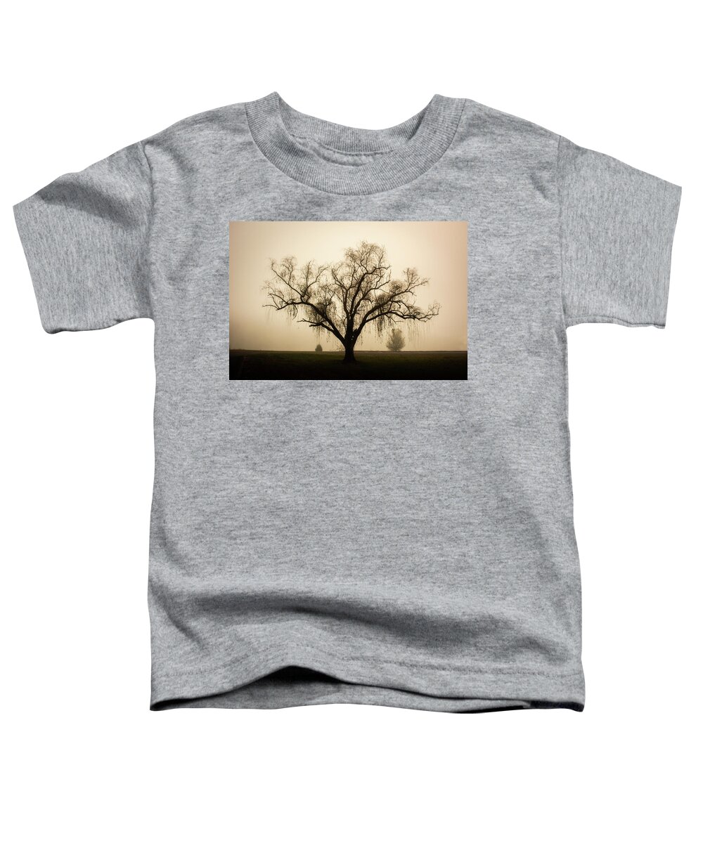 Willow Toddler T-Shirt featuring the photograph Willow in Fog by Douglas Wielfaert