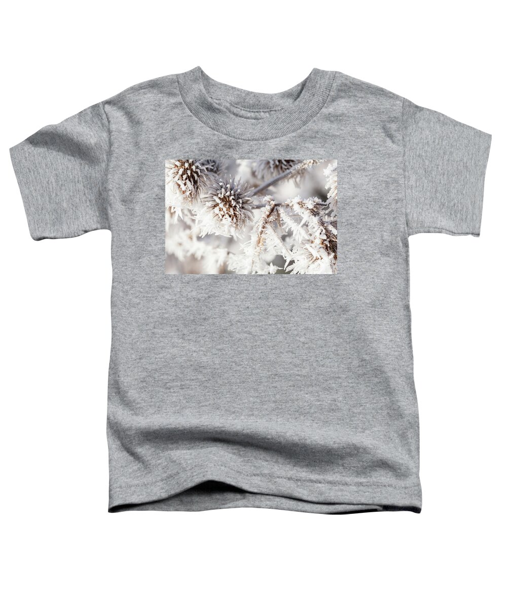 Freezing Toddler T-Shirt featuring the photograph Winter frost on a garden thistle close up by Simon Bratt