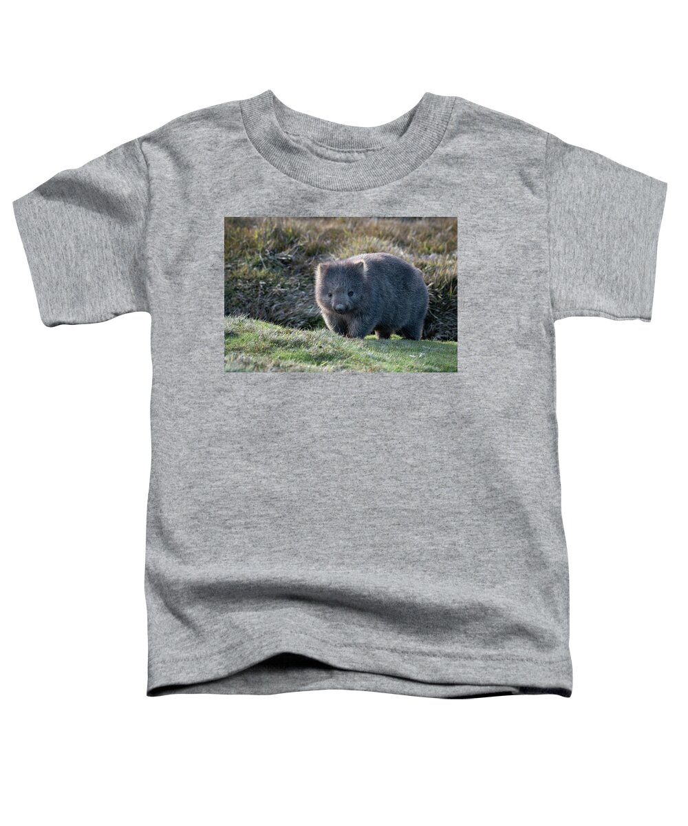 Wombat Toddler T-Shirt featuring the photograph Wombat by Patrick Nowotny