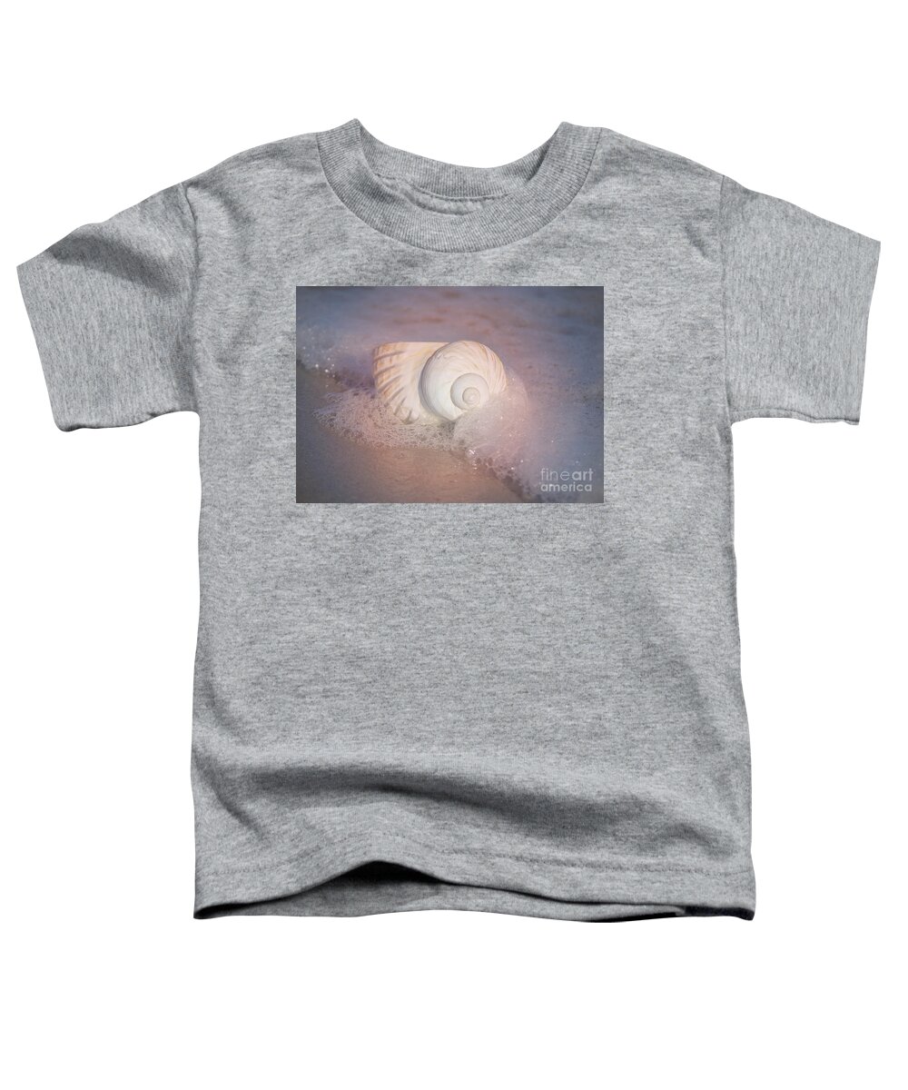 Shells Toddler T-Shirt featuring the photograph Worn By The Sea by Kathy Baccari