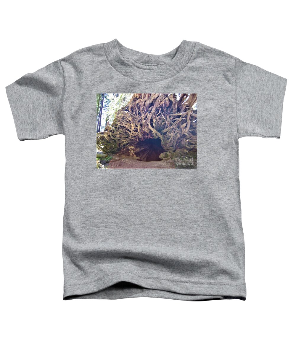 Yosemite Toddler T-Shirt featuring the photograph Yosemite National Park Giant Fallen Tree Trunk with Sun Rays Shining Thru by John Shiron