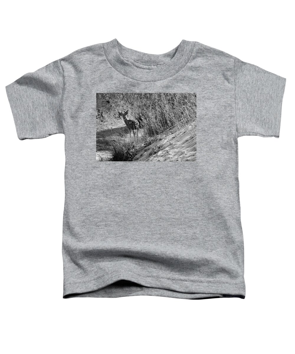 Richard E. Porter Toddler T-Shirt featuring the photograph Young Buck - Palo Duro Canyon State Park, Texas by Richard Porter