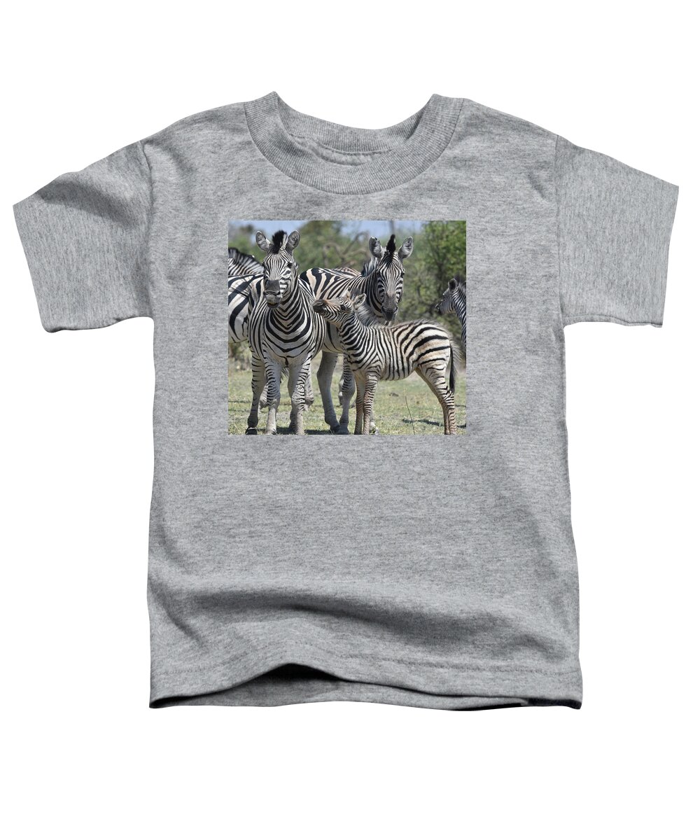 Zebra Toddler T-Shirt featuring the photograph Zebra Family by Ben Foster