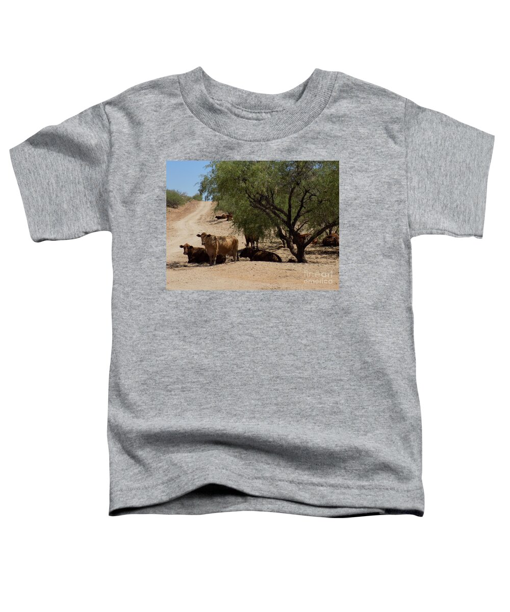 Tranquil And Gorgeous Toddler T-Shirt featuring the photograph Arizona #2 by Joshua Schroeder