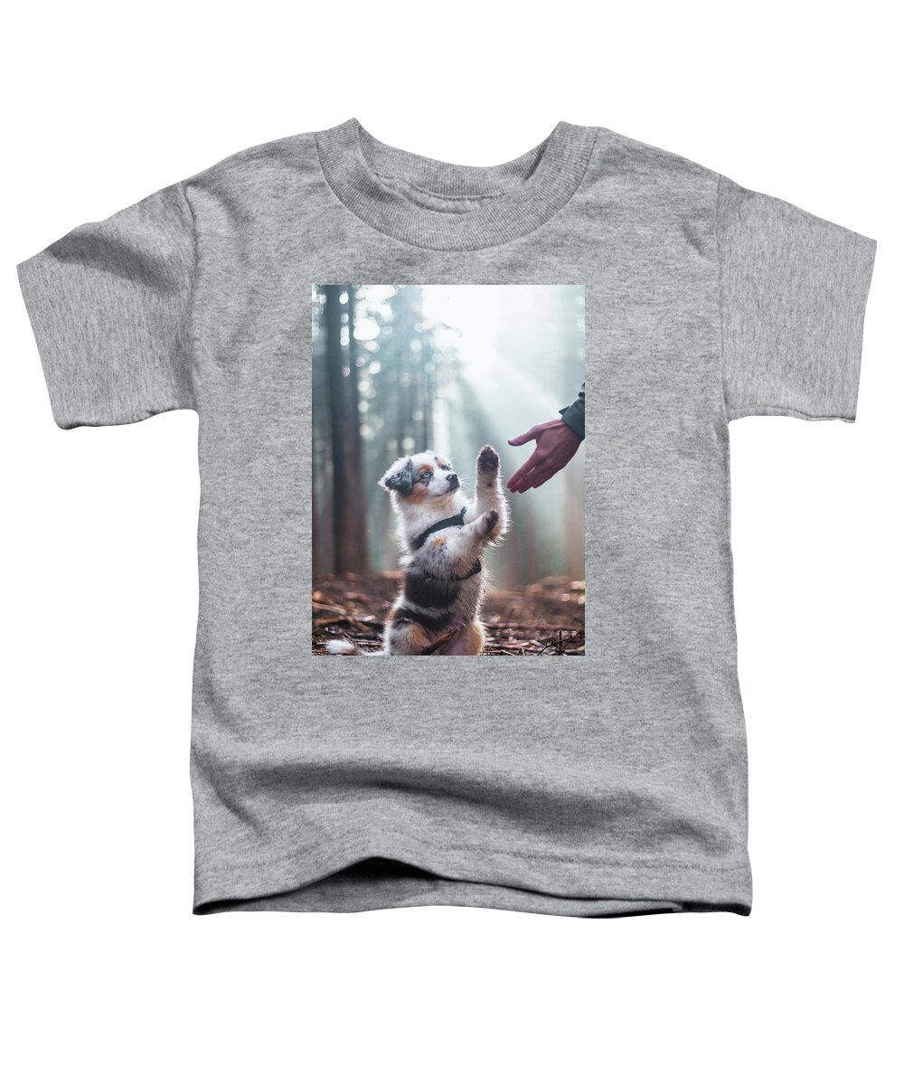 Breed Toddler T-Shirt featuring the photograph Australian Shepherd puppy #1 by Vaclav Sonnek