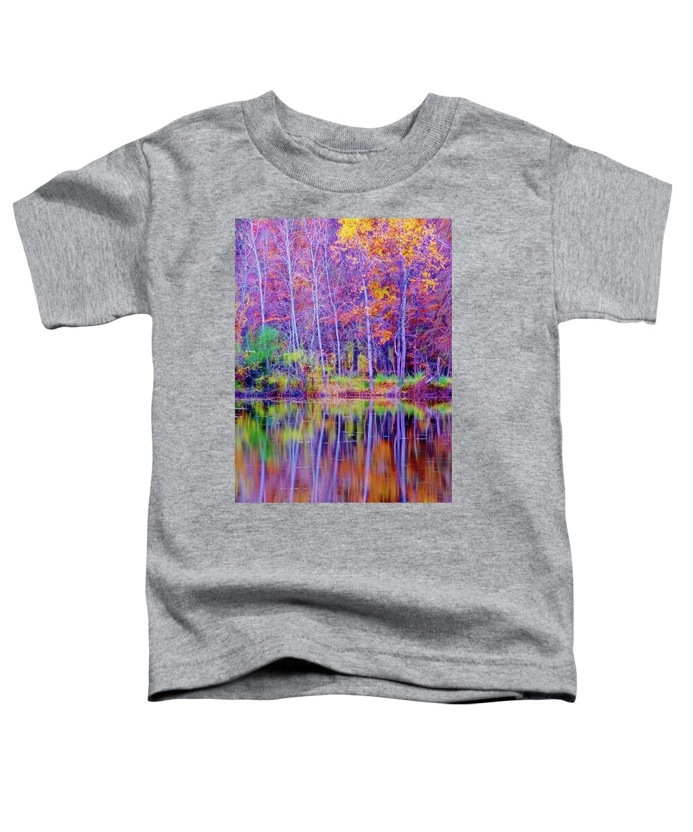 Lake Reflection Toddler T-Shirt featuring the photograph Autumn Reflection #1 by Tom Singleton