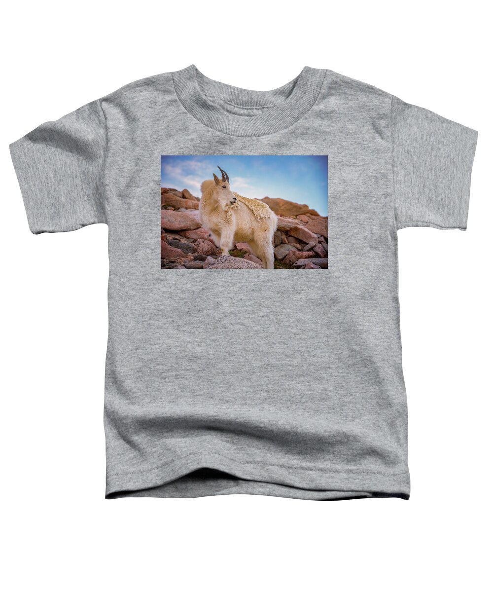 Mount Evans Toddler T-Shirt featuring the photograph Billy Goats Scruff #1 by Darren White
