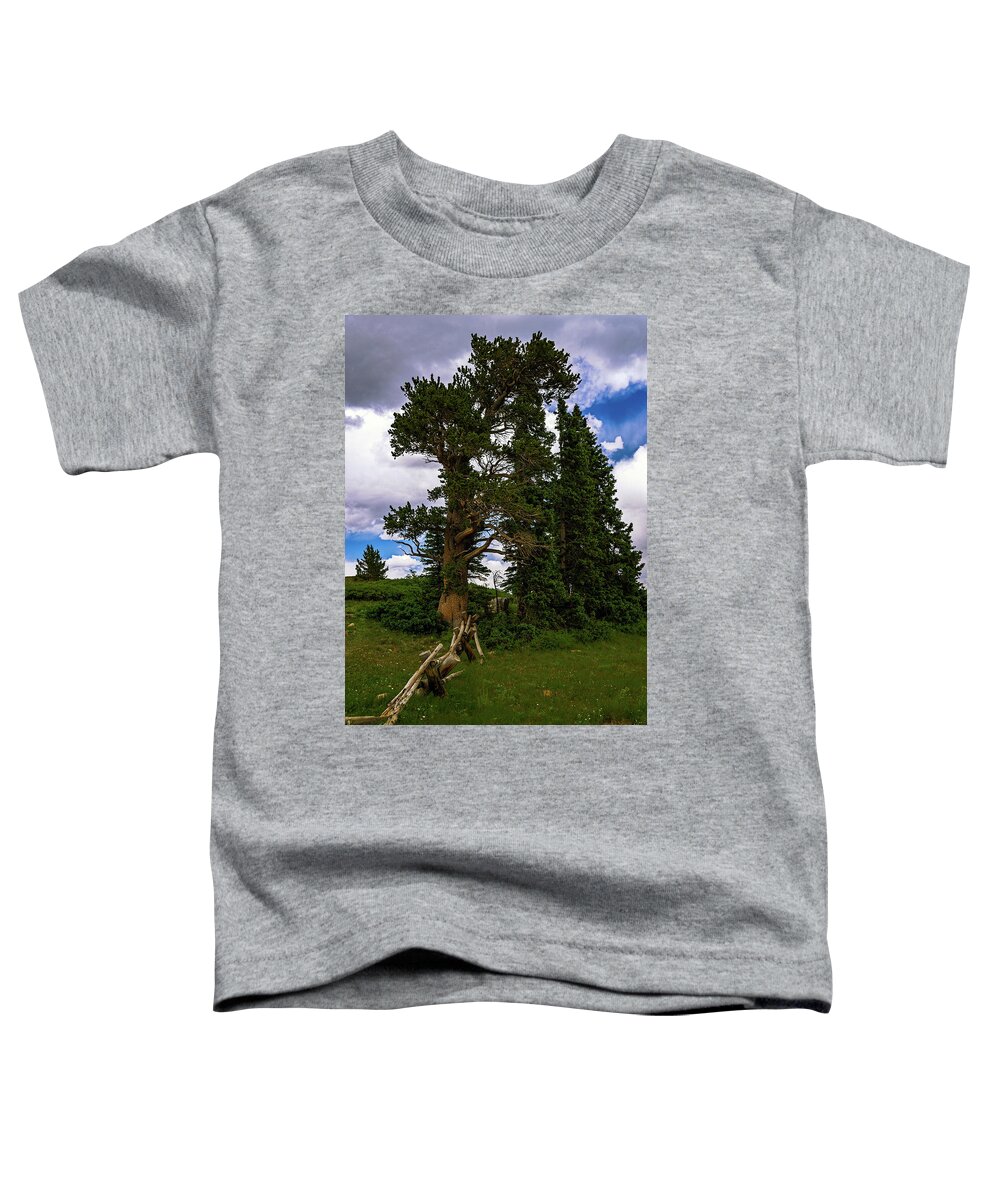  Toddler T-Shirt featuring the photograph Bristlecone #1 by Bitter Buffalo Photography