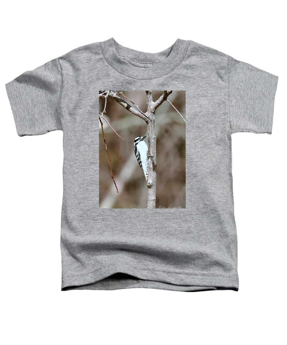 Downy Woodpecker Toddler T-Shirt featuring the photograph Downy Woodpecker #1 by Lila Fisher-Wenzel