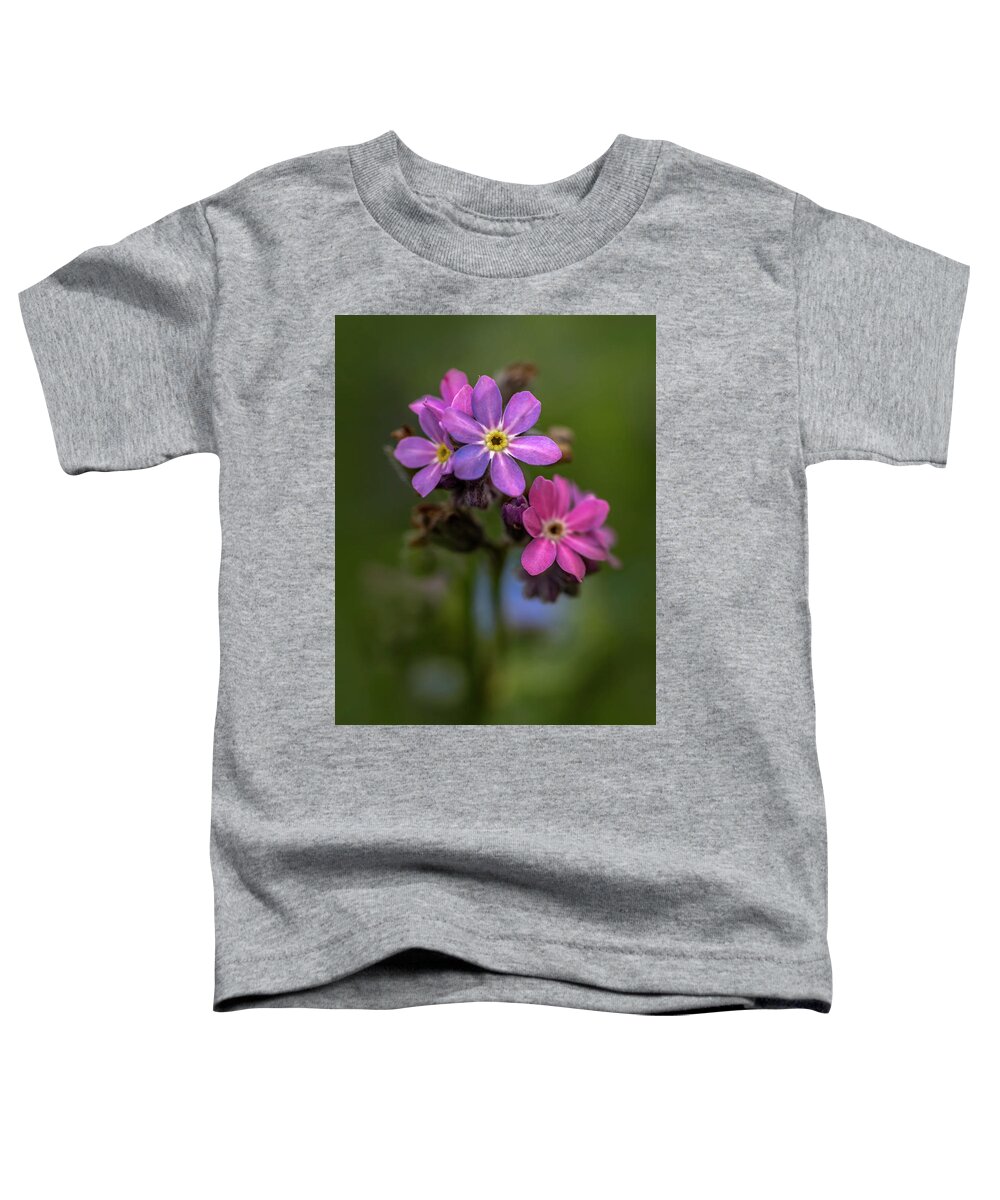  Flower Toddler T-Shirt featuring the photograph Forget-me-not #1 by Jaroslaw Blaminsky
