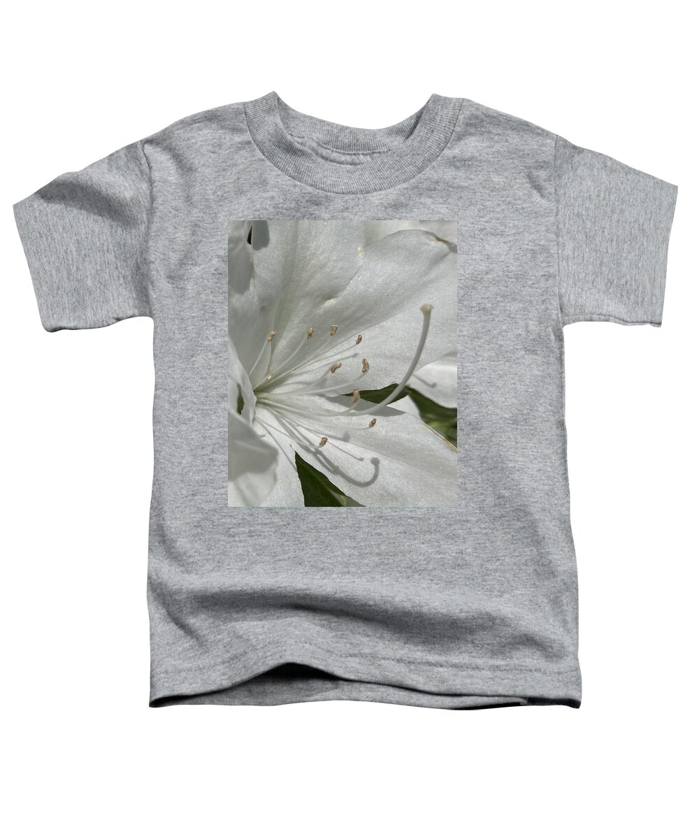 Gratitude Toddler T-Shirt featuring the photograph Gratitude #1 by Shannon Grissom